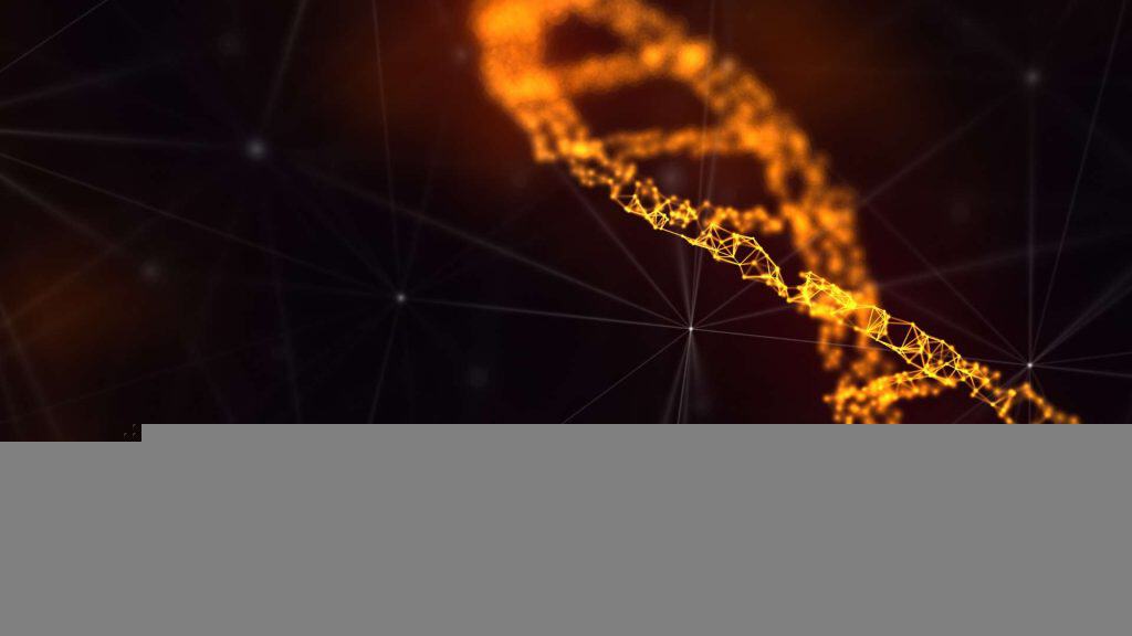 Crystal Meth Causes Induction of DNA Damage Aberrations