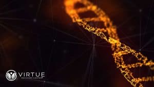 Crystal Meth Causes Induction of DNA Damage Aberrations